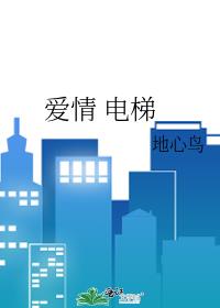 愛情 電梯