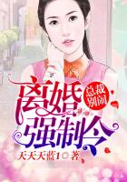 離婚強制令,總裁別鬧