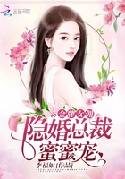 金牌女傭:隱婚總裁蜜蜜寵