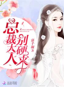總裁大人,別硬來
