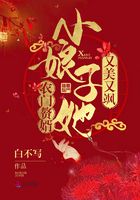 農門贅婿:小娘子她又美又颯