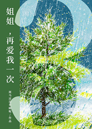 姐姐,再愛我一次3